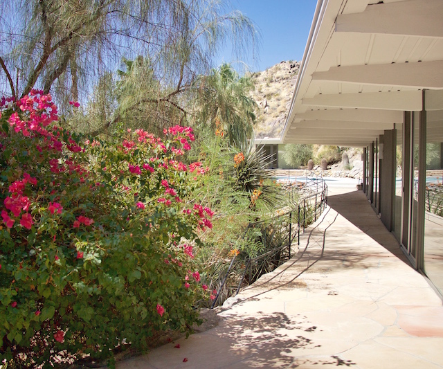 palm-springs-8