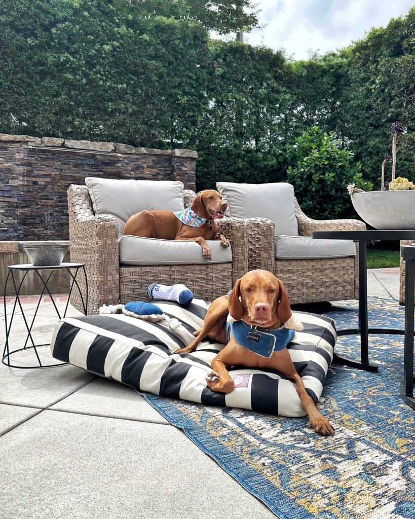 Walmart outdoor furniture and dog bed | My Style Diaries blogger Nikki Prendergast | Vizsla dogs